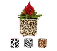 Fisura - Macetero Original con diseño de Leopardo. Macetero Decorativo Interior. Maceta con Patas para Cactus. Maceta de cerámica Estampado para Flores y suculentas.13 x 12,5 cm.