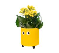 Fisura - Macetero original con diseño de ojos. Macetero decorativo interior. Macetero con patas para cactus. Maceta de cerámica para flores y suculentas.13 x 12,5 cm. Variedad de colores. Yellow