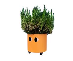 Fisura - Macetero original con diseño de ojos. Macetero decorativo interior. Macetero con patas para cactus. Maceta de cerámica para flores y suculentas.13 x 12,5 cm. Variedad de colores. Naranja