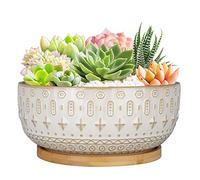 Fivepot Macetas de cerámica para suculentas de 20,5 cm con Agujero de Drenaje para Plantas de Interior, Maceta Redonda y Poco Profunda con Bandeja de bambú, Color Blanco