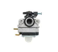 FIXCOR para Desbrozadora para Ryobi RBC254SESO RLT254CDSO RLT254CSEON RLT254SDSO Cortadora Hilo RPP254JO Podadora Pértiga para Kit Carburador para Homelite