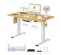 FLEXISPOT Escritorio de Elevable Eléctrico con Tablero Entero(Arce,120X80cm) Standing Desk, Mesa Escritorio Elevable 71-121cm con 4 Opciones de Memoria Inteligente para Oficina y Hogar