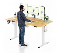 FLEXISPOT Escritorio Elevable 160x60, Carga 100kg, 73-118cm, Anticolisión | Mesa Elevable Altura Ajustable, carga 100kg, 2 ganchos, organizador cables,anticolisión retroceso,4 memorias, garantía 5 años