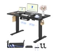 FLEXISPOT Escritorio Elevable Eléctrico 120X80cm con Tablero Entero con 2 Motor, Standing Desk, Mesa Elevable Escritorio de Elevable con 4 Opciones de Memoria Inteligente para Oficina y Hogar(Negro)