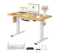 FLEXISPOT Escritorio Elevable Eléctrico E1 Pro Set 120x80, Doble Motor, Tablero Completo, Panel con Memoria, Regulable en Altura, Soporta 100 kg, Blanco+Arce