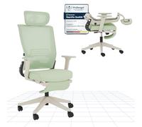 FLEXISPOT Silla de Oficina Ergonómica, Silla de Oficina Plegable con Apoyo Lumbar, Reposabrazos Regulables en Altura, Reposacabezas 2D, Silla de Escritorio de Malla para Oficina Casa-Ivy