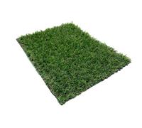 Flonatur. Césped Artificial Grecia 20 mm. Para Exterior e Interior, Niños y Perros. Decora suelos, terraza, vallas de jardín, cercas de piscinas. Varias medidas de rollos. 2 x 20 m.
