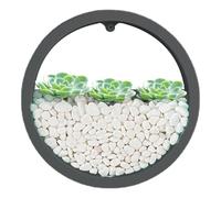 Florero de maceteros de pared, macetero de pared | Jardineras de pared transparentes,Florero de pared, macetero suculento circular, maceta redonda para flores, contenedor Vertical para interiores, dec