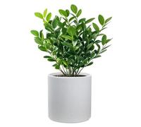 Florero de resina cilíndrico y redondeado, ideal para plantas de interior y jardín, con dimensiones de 36 x 35 cm, diseño Modigliani White