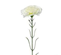 Flores Artificiales Clavel 8CM Pack 5 Unidades para decoración Mesas Bodas Silk Flower 51cm(Creamy white)
