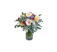 FLORES SOLIDARIAS - Ramos de Flores Naturales Gerberas Con Clavelina - Ramo Fresco de Calidad para Regalo, San Valentín, Día de la Madre, Bodas, Aniversarios, Cumpleaños y Decoración del Hogar