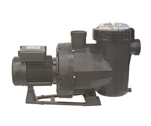 Fluidra Piscina&Spa 65560 - Bomba Victoria Plus Silent 3/4 CV Mono