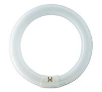 FOCO CIRCULAR FLUORESCENTE ATTACCO G10-Q 32W D30 NATURAL LIGHT E3284