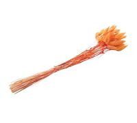 Foemey 60 flores secas de otoño, flores secas de conejo, lagurus ovatus, cola de conejo, hierba para flores secas (naranja)
