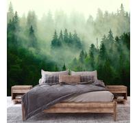 Foggy Bosque Papel Fácil de Aplicar Pared Dormitorio Mural Árboles Nature Grande