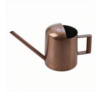 Fonowx Regara Acero Inoxidable para Plantas Interior con Largo y Capacidad 300 Mililitros para Riego Preciso en Macetas Pequeñas Escritorio y Estantes Acuada para Regalo Hogar, Bronce