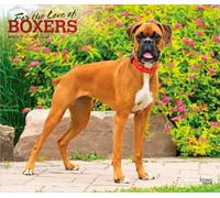 For the Love of Boxers 2027 14 X 24 Inch (Hanging) Monthly Deluxe Wall Calendar Foil Stamped Cover Plastic-Free