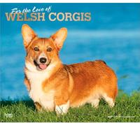 For the Love of Welsh Corgis 2027 14 X 24 Inch (Hanging) Monthly Deluxe Wall Calendar Foil Stamped Cover Plastic-Free