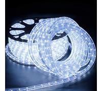 Forever Speed 20M Tubo de LED Manguera LED Luces de Tira de Manguera Exterior e Interior Blanco Frío,Tiras LED Adecuado para Decoración e Iluminación Navidad, Halloween, Boda,Fiesta, Hotel, Jardín