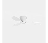Forlight - Ventilador de techo Bora, diámetro 1238 mm, motor DC silencioso, 46 W, LED integradas, temperatura de color ajustable, 6000 K, 6 velocidades, incluye mando a distancia, para espacios de 20-