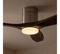 Forlight - Ventilador de techo Stem Evo, diámetro 1320mm, motor DC silencioso, 30W + 20W LED, LED integrado, temperatura de color ajustable (CCT): 3000K - 4000K - 5000K, regulable, 6 velocidades, aspa