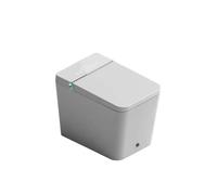 FOSSIL NATURA Orion Inodoro inteligente de cerámica con acabado color blanco brillante y panel blanco 03843