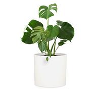 Fox & Fern Macetero, Maceteros Decorativos Interior, Macetas Exterior Grandes, Maceta Grande Plantas y Flores Resistente a Rayos UV y Heladas, Maceteros Exterior, Tapón de Drenaje, Piedra de Fibra