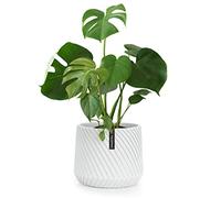 Fox & Fern Macetero, Maceteros Decorativos Interior, Macetas Exterior Grandes, Una Maceta Grande Plantas y Flores Resistente a Rayos UV y Heladas, Maceteros Exterior Tapón de Drenaje, Polystone