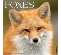 Foxes 2027 Wall