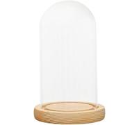 Frascos de vidrio de visualización de sobremesa, 2 UNIDS 5 cm ~ 10 cm de Diámetro Cloche Cubierta de Cúpula de Vidrio Transparente Soporte con Base de Madera Cúpula Práctica Cubierta Transparente Vitr