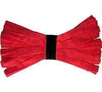 Fregona Americana - Kentucky De Microfibra 250gr (Rojo)