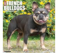 Willow Creek Press, Just French Bulldogs - Calendario de pared 2027