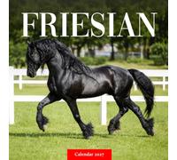 Friesian Horses Calendar 2027: Black Horse Photography