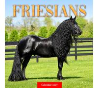 Friesian Horses Calendar 2027: Horse Portraits and Outdoor Scenes