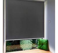 Froadp 100x240cm Toldo Vertical Exterior, Estor Enrollable de Oscurecimiento con Abrazaderas y Cadena, Privacidad Persianas Enrollables, Estores de Protección Solar para Ventanas y Puertas(Antracita)
