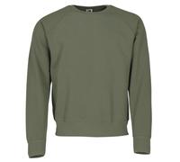 Fruit Of The Loom 62-216-0, Sudadera Para Hombre, Verde (Classic Olive), Large