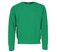 Fruit Of The Loom 62-216-0, Sudadera Para Hombre, Verde (Kelly Green), Large