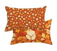 Funda Cojin 60x80 Juego de 2, Naranja Fundas Cojines Impermeable Lino -4085