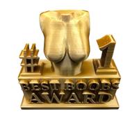 Funny Award for Adults - Funny Resin Humorous Award Statue Prank Prize
