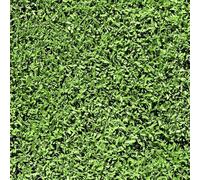 FunStick Papel Pintado Autoadhesivo Verde Hojas de Hierba Vinilo Decorativo Pared Dormitorio Salon Habitación Pegatinas Pared Decorativas Papel Adhesivo para Muebles Verde Hojas de Hierba 44.5CM×3M