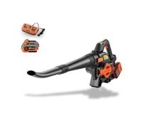 FUXTEC 40 Volt 2in1 Akku-Laubbläser/-sauger Set FX-E2LBS-SET