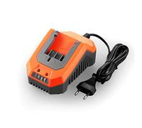 FUXTEC FX-E1LG2A - Cargador rápido de iones de litio (2,4 A, 70 W, para batería de 2 Ah y 4 Ah, apto para todas las herramientas de jardín Fuxtec de 20 V, tensión de carga: 20,9 V)