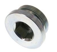 G 1 1/4'' Macho Tapón de cierre de acero galvanizado con hexágono interior y junta FKM 250 Bar
