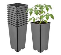 Garronda Maceta de plástico Alta 11 x 11 x 21,5 cm (2 L) Set de 10 Cuadrada con Orificios de Drenaje Maceta de PP para jardín Invernadero balcón Cultivo Interior y Exterior Negro GD-0201