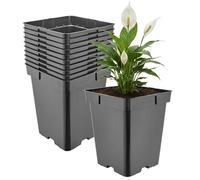 Garronda Maceta de plástico Alta 18 x 18 x 21,5 cm (5 L) Set de 10 Cuadrada con Orificios de Drenaje Maceta de PP para jardín Invernadero balcón Cultivo Interior y Exterior Negro GD-0201