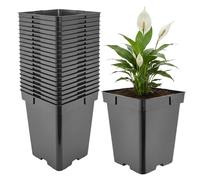 Garronda Maceta de plástico Alta 18 x 18 x 21,5 cm (5 L) Set de 20 Cuadrada con Orificios de Drenaje Maceta de PP para jardín Invernadero balcón Cultivo Interior y Exterior Negro GD-0201