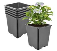 Garronda Maceta de plástico Alta 21 x 21 x 23,5 cm (7 L) Set de 5 Cuadrada con Orificios de Drenaje Maceta de PP para jardín Invernadero balcón Cultivo Interior y Exterior Negro GD-0201
