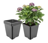 Garronda Maceta de plástico Alta 25 x 25 x 26 cm (11 L) Set de 5 Cuadrada con Orificios de Drenaje Maceta de PP para jardín Invernadero balcón Cultivo Interior y Exterior Negro GD-0201