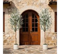 Garvee Juego de 2 árboles de Olivo Artificiales de 152,4 cm, Olivo Artificial con Tronco de Madera auténtica y Frutas realistas, Plantas Artificiales Altas para Interior con Maceta Blanca, decoración
