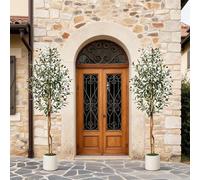 Garvee Juego de 2 olivos Artificiales de 183 cm, Olivo Artificial con Tronco de Madera Real y Frutas realistas, Plantas Artificiales Altas para Interior con Maceta Blanca, decoración para el hogar y